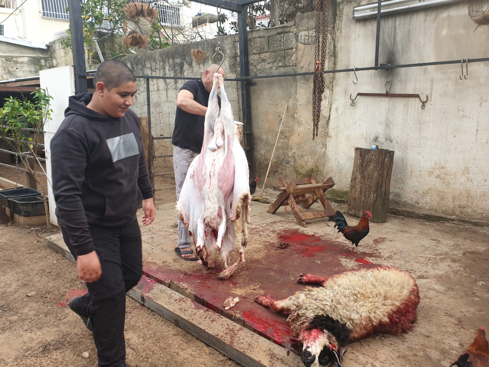 WhatsApp Image 2020-03-06 at 3.47.37 PM.jpeg.jpeg